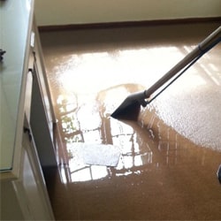 water damage cleaning